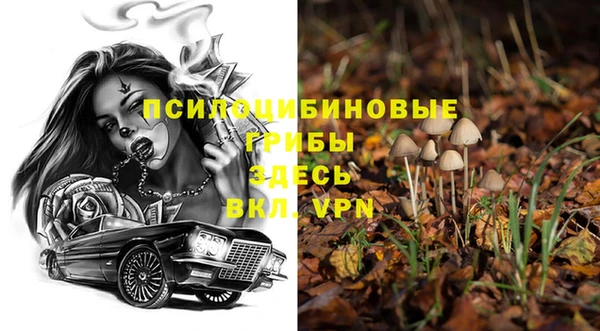 ПСИЛОЦИБИНОВЫЕ ГРИБЫ Нея