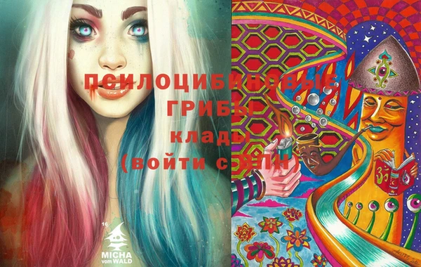 ПСИЛОЦИБИНОВЫЕ ГРИБЫ Нея