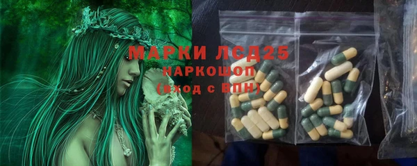 ПСИЛОЦИБИНОВЫЕ ГРИБЫ Нея