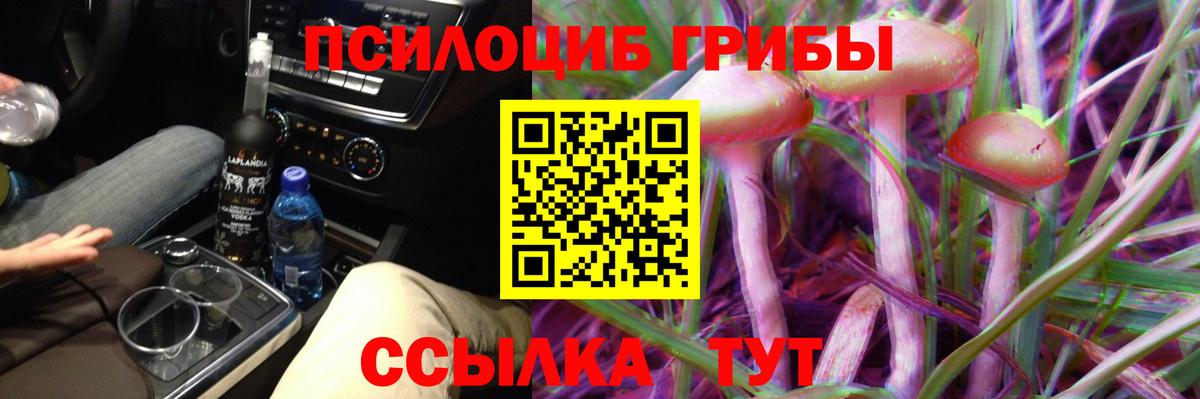Псилоцибиновые грибы мицелий Петрозаводск